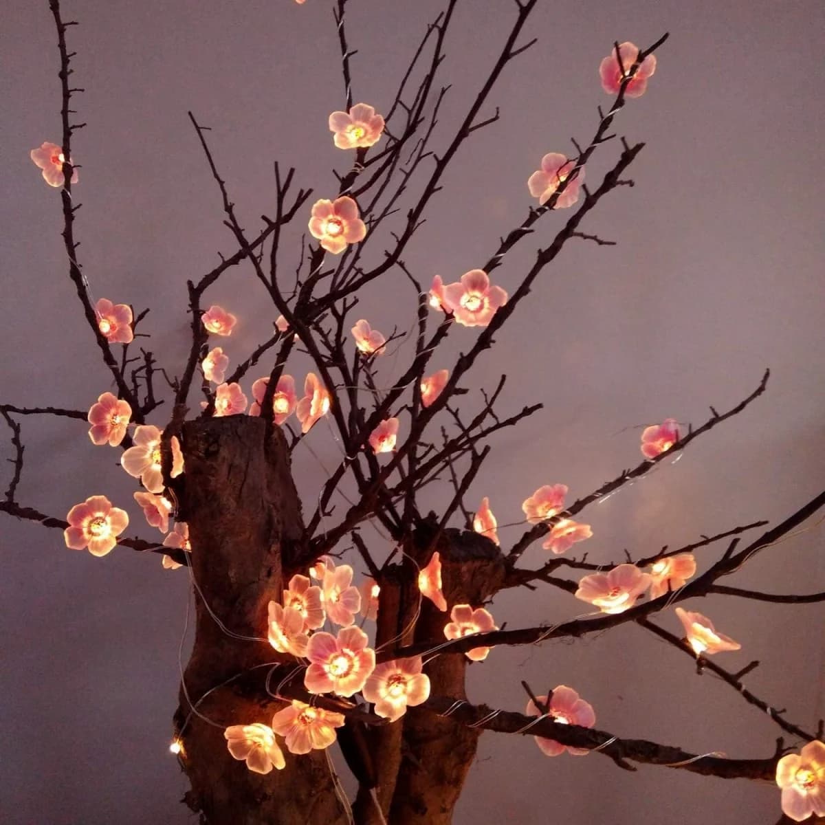 10 LED rosa kirsebærblomst lyslenke, batteridrevet